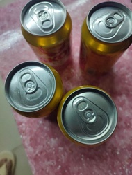 SKOL 啤酒 罐裝