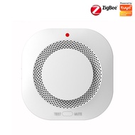 Independent Smoke Detector