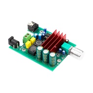 AG AIYIMA TPA3116 Subwoofer Power Amplifier Audio Board Full Range A