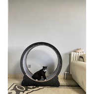 [Best Selling] Cat Wheeler