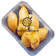 [Durian Delivery] Fresh D13 Pulp/isi (300g)
