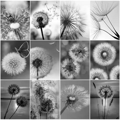 MomoArt Diamond Painting Black White Cross Stitch Diamond Mosaic Dandelion Flower Rhinestones Embroi