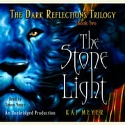 The Stone Light, The Dark Reflections: Book #2 Kai Meyer