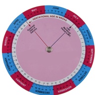 SALE Gestation Calculator wheel pregnancy goniometer expected date of birth ruler 10 pcs /lot