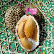 Durian D2/Anak Pokok Limited Edition