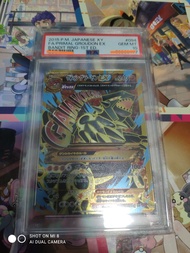 （已出）PTCG Pokémon card 固拉多 原始固拉多 XY EX 固拉多ex 2015 XY7 Japanese 日文 psa10 psa 10 bgs cgc #094 gem mt