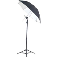 AXRTEC Dual Ball Tilt Head + Aurora Photography Umbrella Stand Set