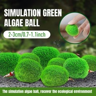 1pc 2-3cm Marimo Moss Balls Live Aquarium Plant Algae Fish Shrimp Tank Ornament Simulation Green Algae Balls Artificial Plant
