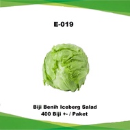 Biji Benih Iceberg Salad / Iceberg Lettuce Seeds / 玻璃生菜种子
