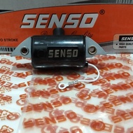 Ignition coil senso 070