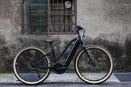 -中年大叔-GIANT Momentum Transend E+ E BIKE