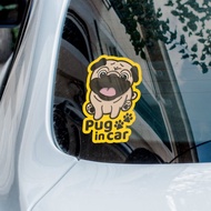 Pug in car 八哥狗 巴哥犬汽車貼