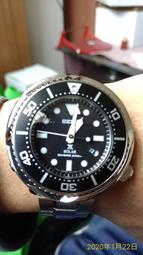 seiko 光動能 太陽能 潛水錶 鮪魚罐頭 sbdn021