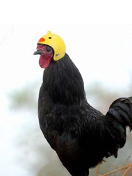 1件寵物頭盔,安全帽可保護小雞頭部不受傷害