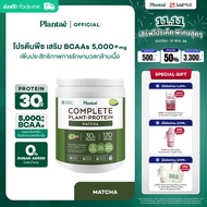 Plantae Complete Plant Protein : Active BCAAs รส Matcha กระปุก 800g : โปรตีนพืช มัทฉะ ชาเขียว