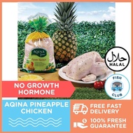 Aqina Pineapple Enzyme Chicken / Ayam Nanas