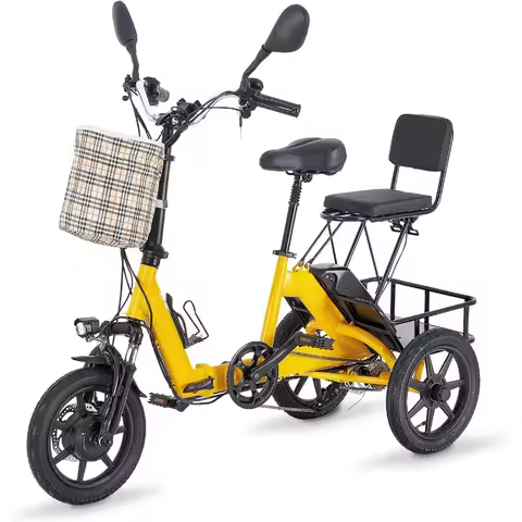 Electric Tricycle, 350W Folding 3 Wheel Electric Bike with 480Wh Removable Battery, Ebike with Doubl
