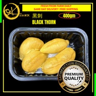 Special Exclusive Premium Quality Fresh Black Thorn Durian