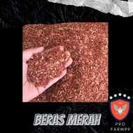 MERAH Red Rice Diet Consumption Red Rice 1Kg