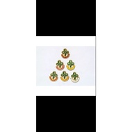 PIN FOR GSP(TWINKLER,JUNIOR,STAR AND SENIOR PIN)