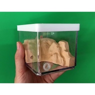 Stacked Small Ecological Nest Ant Nest Ant Workshop Ant Ranch Betta Tank Birthday Gift