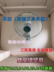 雙星 16吋單拉壁掛扇 TS-1603 壁扇 壁掛扇 電扇 電風扇 涼風扇 耐用款 家用 台灣製 辦公室 套房 散熱風扇