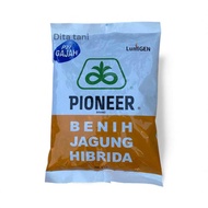Termurah benih jagung pioneer hibrida P 27 1kg benih jagung p21