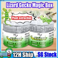 【SG STOCK】 Lizard & Gecko Repellent Magic Box || Plant Formula Upgraded Lizard Trap Super Strength D