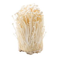 เห็ดเข็มทอง 300 ก.