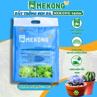 Mekong succulent - cactus planting soil 05dm3 bag - Convenient, suitable for all types of succulent 