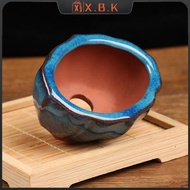 X.B.K Chinese Style Bonsai Flowerpot Ceramic Craft Plant Pot Planter Home Decor 7.5*5.7*4cm SG