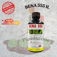 1L Bena 555 / Bena Hijau / Bena Perang / Pianggang / Belalang / Lelompat Daun / Kutu Beruang
