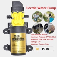 DC12V 8L/min Large-Flow Electric Water Pump for Agriculture, Sprayer, Car Wash, and High Pressure