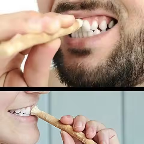Eco Friendly No Toothpaste Needed Miswak Toothbrush Soft Bristles Traditional Miswak Sticks for Teet