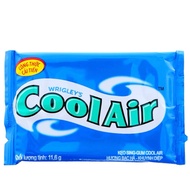 Combo 2 - 4 Packs of Sing Gum Cool Air Mint Flavor - Eucalyptus x 8 Tablets