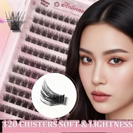 【no Needed Glue】120 Cluster Natural Korean Glue Free 9-13mm Cosmetic High-capacity Curl Diy O7u5