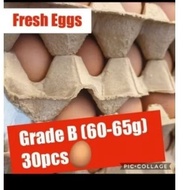Fresh Eggs 30pcs x1 tray (Grade B 60-65g)