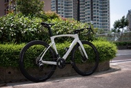 Ceepo MAMBA R disc碟煞頂級碳纖維公路車