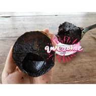 *EXTREMELY RARE* SEEDLESS BLACK SAPOTE HYBRID/KAHWIN
