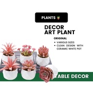 Fake cactus 🪴 Nordic Style Original with 📦 Box min Fejka Pot Instagram Insta Raya Kaizen Ikea Pokok 