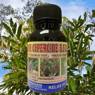 [ORIGINAL] 250ML AGR CYPERCIDE 5.5EC cypermethrine CYPERIN 550, KENCIS, CERTRIN 550, CYPERSING 550, 