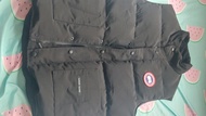 Canada Goose 黑色羽絨背心