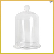 Glass Mini Candles Decorative Clear Holder Dome Cloche Holders zhiyuanzh