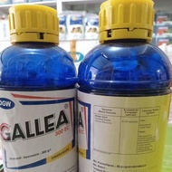 Terlaris!!! Obat untuk kumbang tanduk Gallea 300 ec