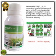 Herbisida Novlect 120 EC | Pengendali Gulma Padi | Obat Rumput Purna Tumbuh Padi | STM CORPORATION