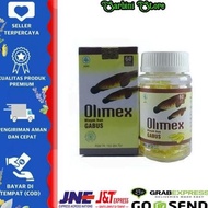 ada Kapsul minyak ikan gabus albumin Olimex