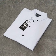 kemeja pria polos lengan pendek kemeja putih kemeja hurley original distro best seller