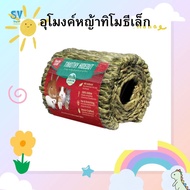 OXBOW Timothy Hideout Small Grass Tunnel 1