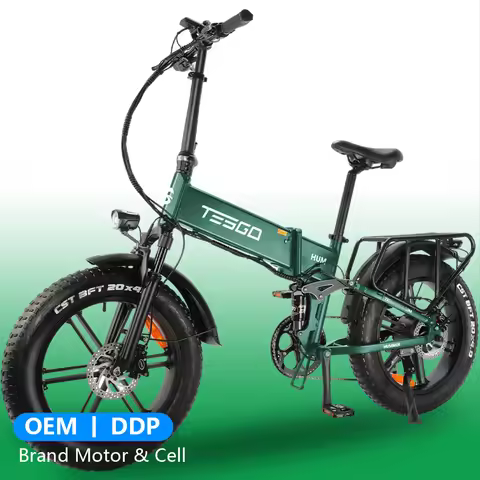 GOSEN 750W 48V Folding Electric Fat Tire Bike 20 Inch Full Suspension Off Road Mountain Bicycle Ebik