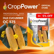 (1000 SEEDS) Biji Benih Timun Tua Gold bar 金霸 OC575 CROP POWER F1 HYBRID Old Cucumber Seeds 老黄瓜种子 OC